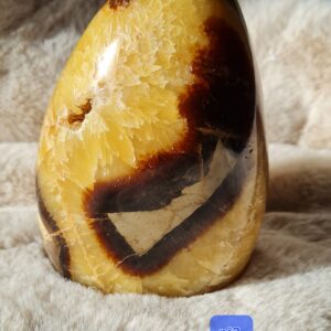 Forme Libre Septaria N°3