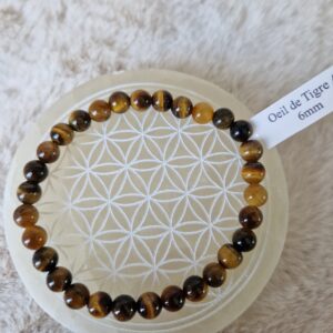 Bracelet “Bouclier” en Œil de tigre 6mm A